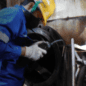 Welding Engineer: Pengertian Syarat Tugas dan Gaji